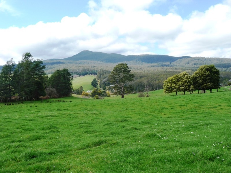 1813 Lilydale Road, Lilydale TAS 7268