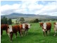 1813 Lilydale Road, Lilydale TAS 7268