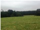 305 Youngs Road, Lileah TAS 7330