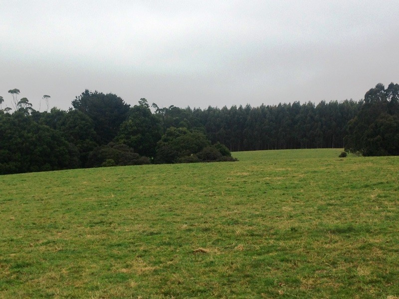 305 Youngs Road, Lileah TAS 7330