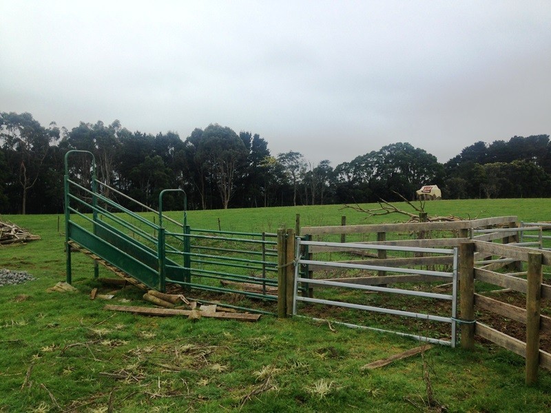 305 Youngs Road, Lileah TAS 7330