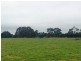305 Youngs Road, Lileah TAS 7330