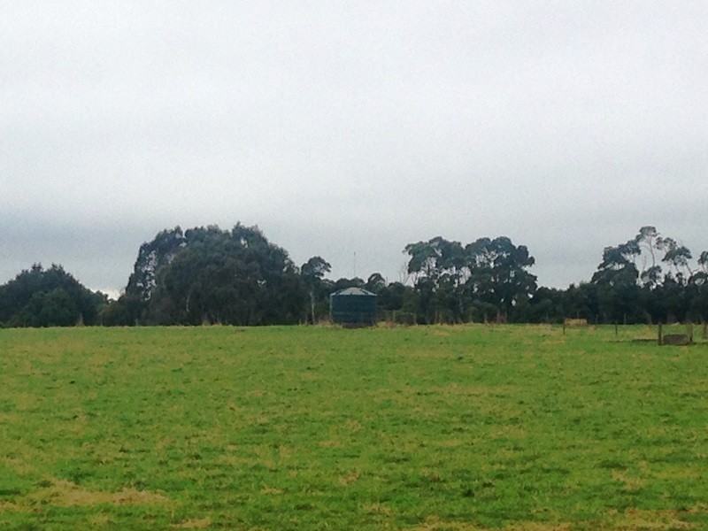 305 Youngs Road, Lileah TAS 7330