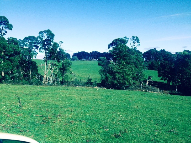 70 Lowers Road, Mawbanna TAS 7321