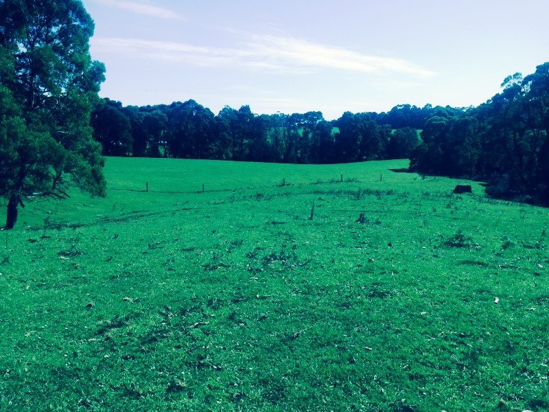 70 Lowers Road, Mawbanna TAS 7321