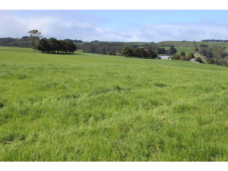 289 Faheys Lane, Irishtown TAS 7330