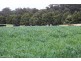 289 Faheys Lane, Irishtown TAS 7330