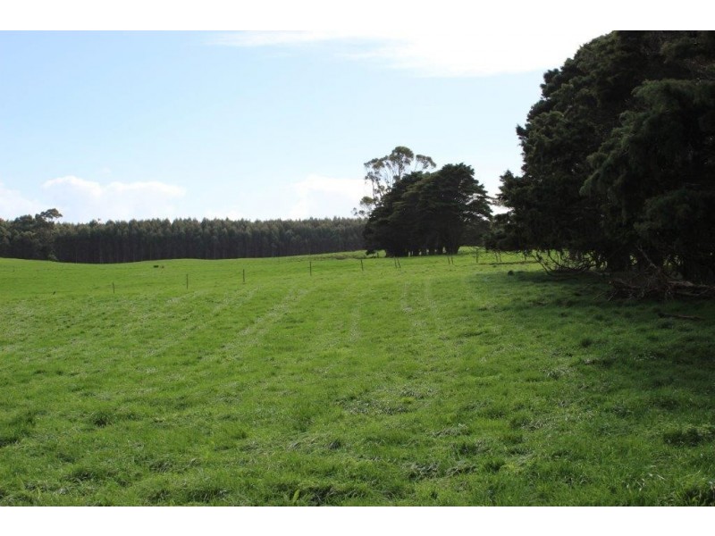 289 Faheys Lane, Irishtown TAS 7330
