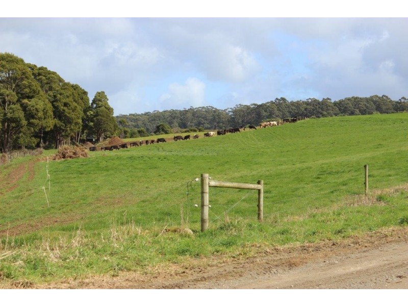 289 Faheys Lane, Irishtown TAS 7330