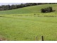 289 Faheys Lane, Irishtown TAS 7330