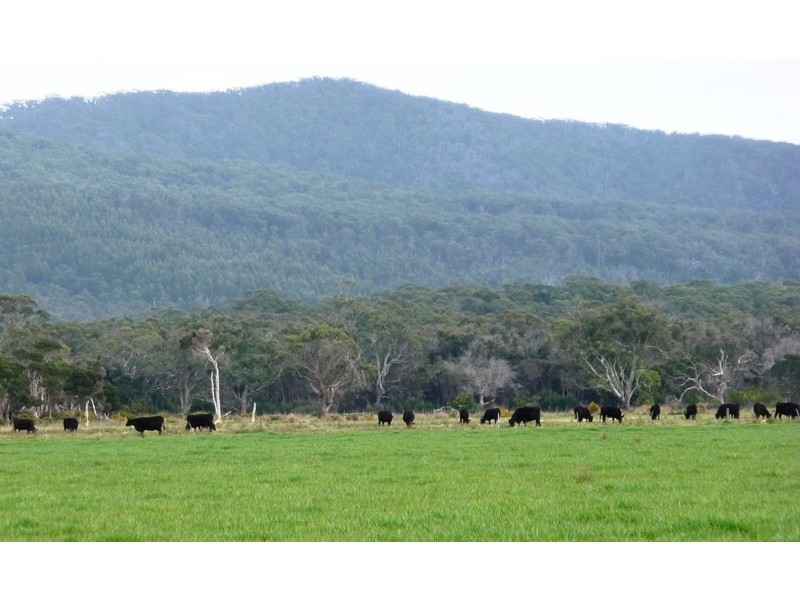 1721 and 1733 Greens Beach Road, Greens Beach TAS 7270