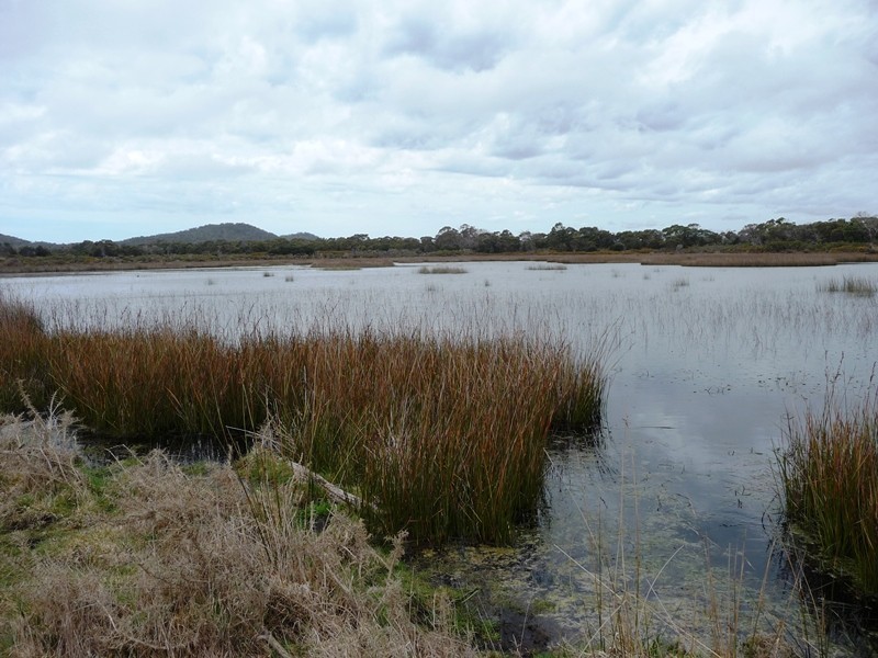 1721 and 1733 Greens Beach Road, Greens Beach TAS 7270