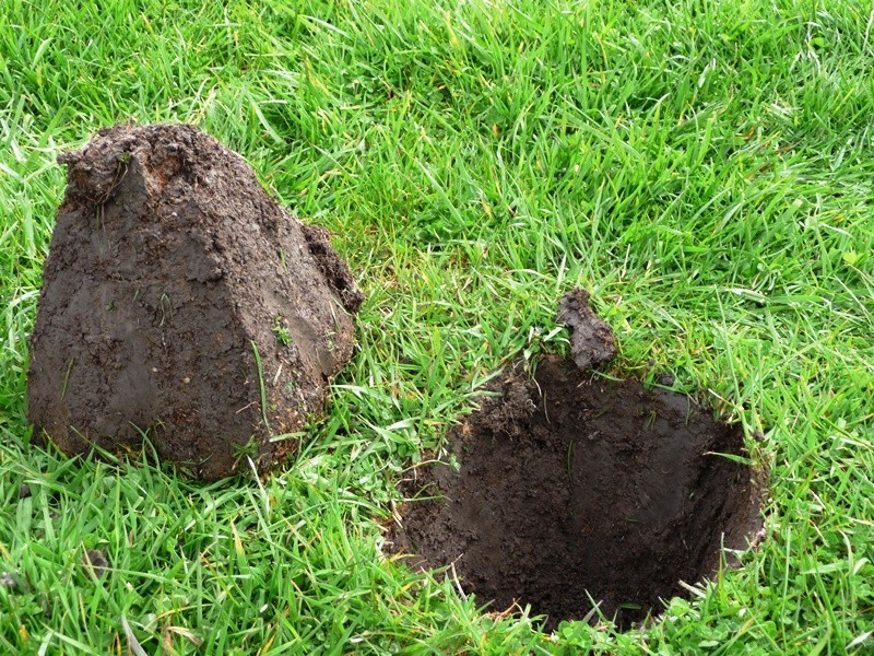 1721 and 1733 Greens Beach Road, Greens Beach TAS 7270