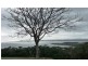 1721 Greens Beach Road, Greens Beach TAS 7270