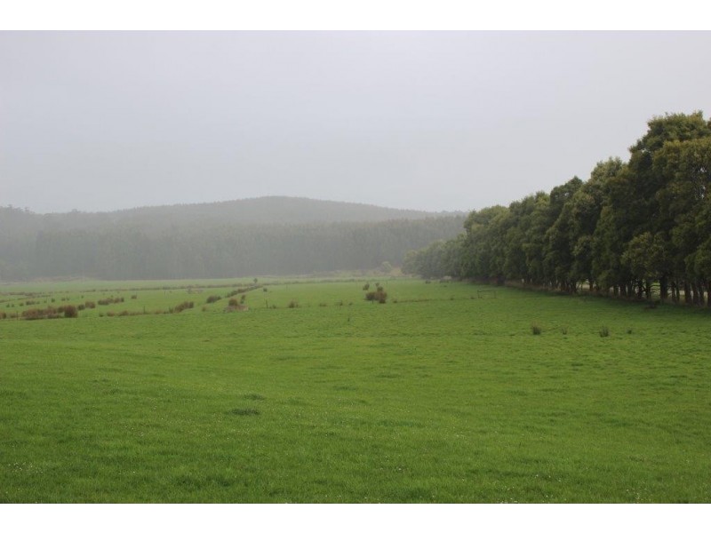 108 McLachans Road, Irishtown TAS 7330