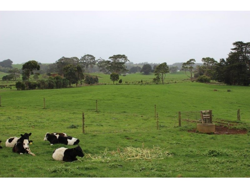 108 McLachans Road, Irishtown TAS 7330