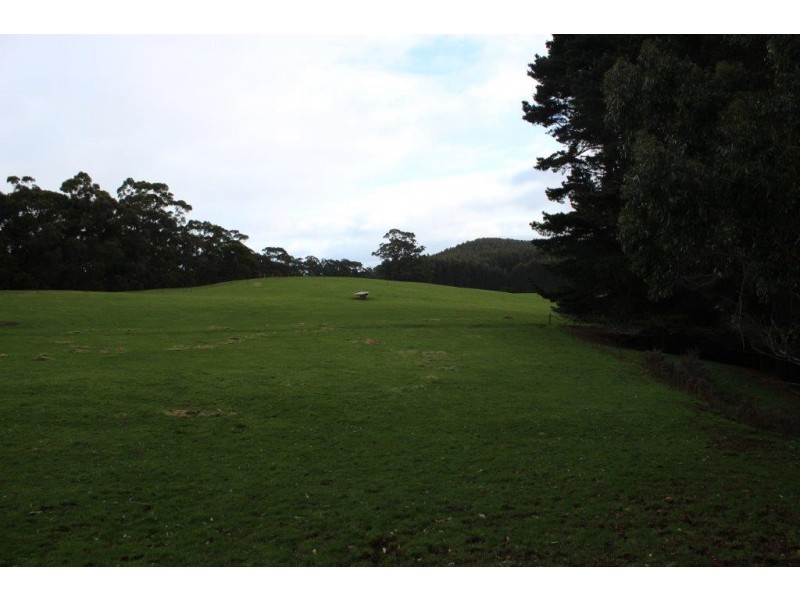 42 Bilsons Road, Irishtown TAS 7330
