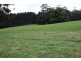 42 Bilsons Road, Irishtown TAS 7330