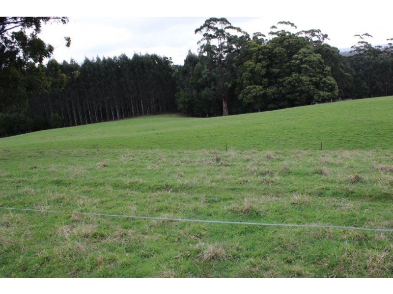 42 Bilsons Road, Irishtown TAS 7330