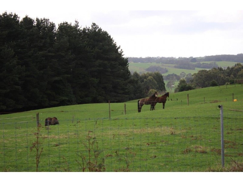 42 Bilsons Road, Irishtown TAS 7330