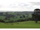 42 Bilsons Road, Irishtown TAS 7330