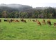 178 Roger River Road, Roger River TAS 7330