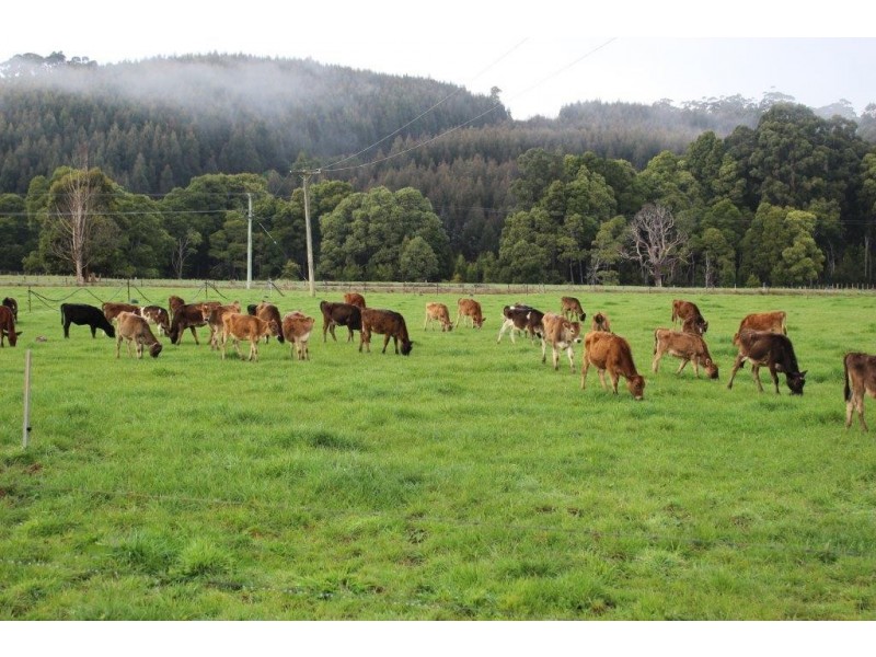 178 Roger River Road, Roger River TAS 7330