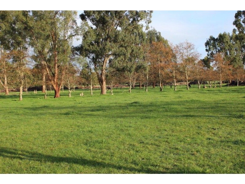 178 Roger River Road, Roger River TAS 7330