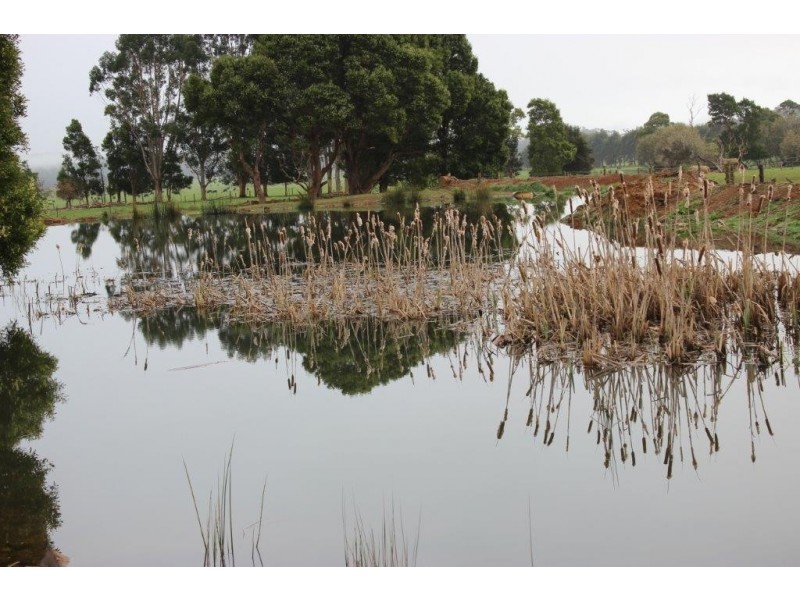 178 Roger River Road, Roger River TAS 7330