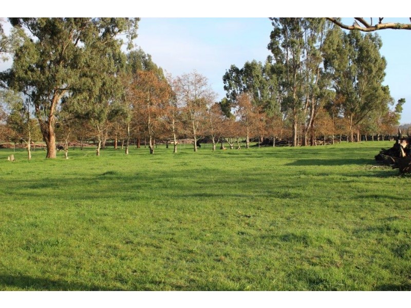 178 Roger River Road, Roger River TAS 7330