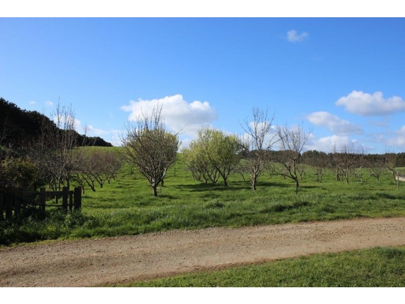 27444 Bass Highway, Marrawah TAS 7330