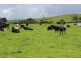 345 Houses Road, Lileah TAS 7330