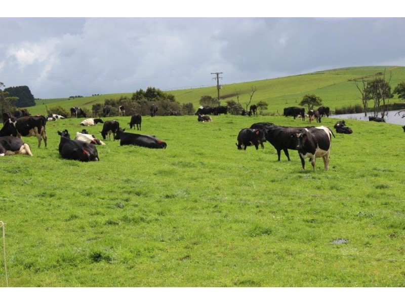 345 Houses Road, Lileah TAS 7330