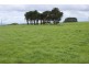 345 Houses Road, Lileah TAS 7330