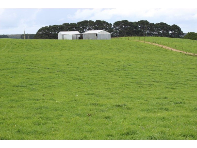 345 Houses Road, Lileah TAS 7330