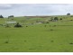 345 Houses Road, Lileah TAS 7330