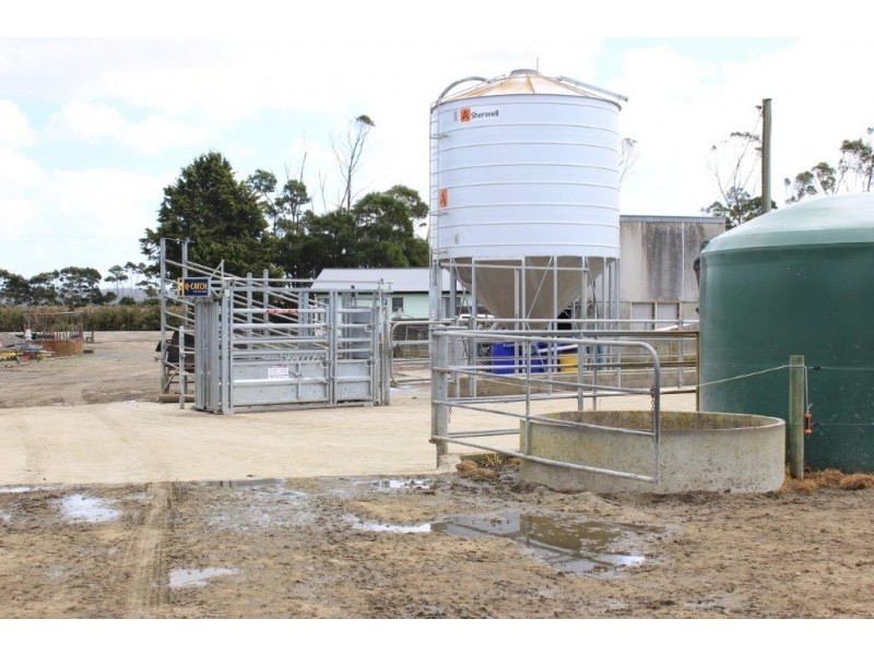 278 Blackwood Road, Togari TAS 7330