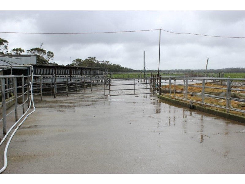 278 Blackwood Road, Togari TAS 7330