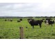 278 Blackwood Road, Togari TAS 7330