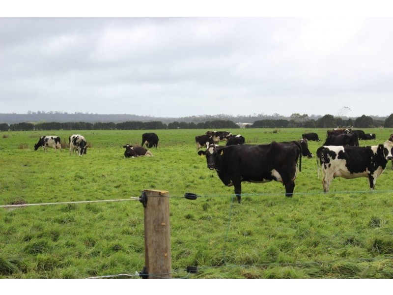 278 Blackwood Road, Togari TAS 7330