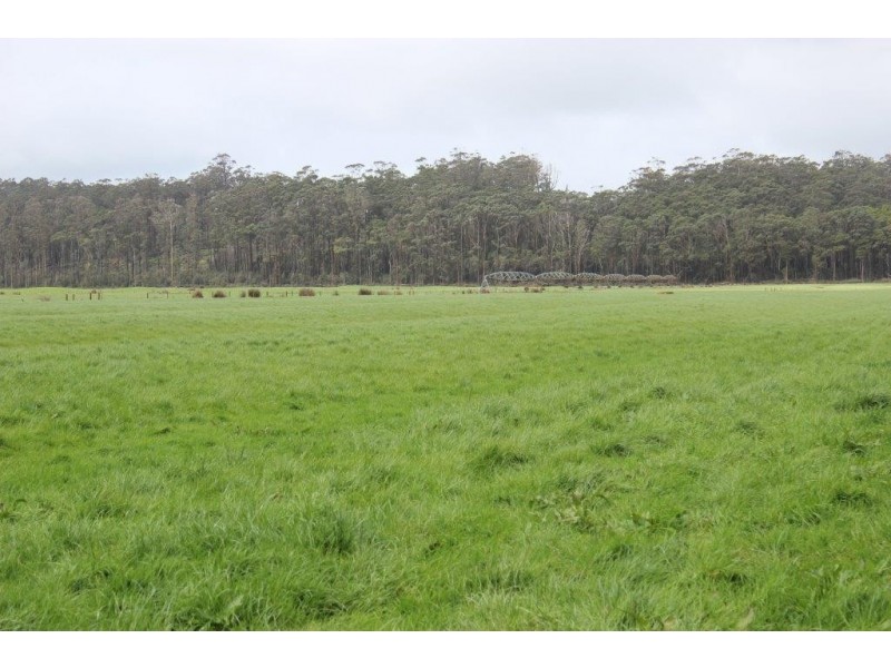 278 Blackwood Road, Togari TAS 7330