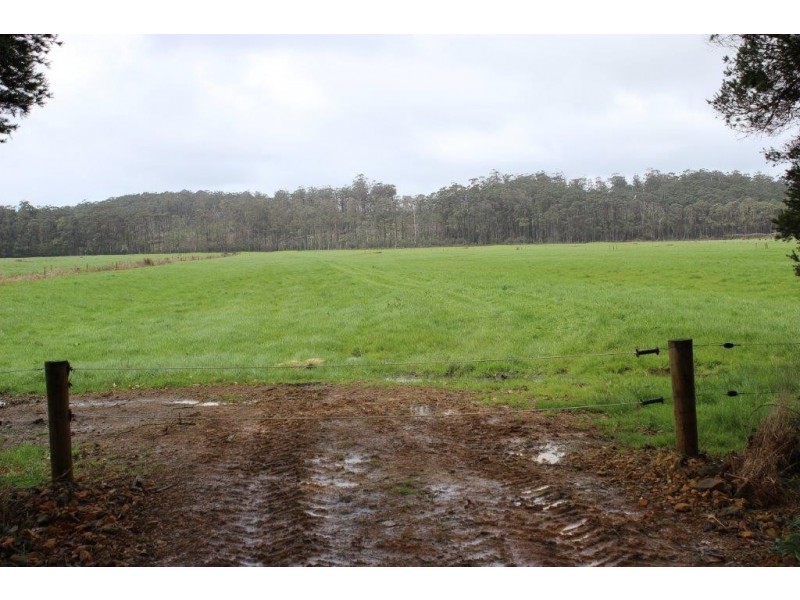 278 Blackwood Road, Togari TAS 7330