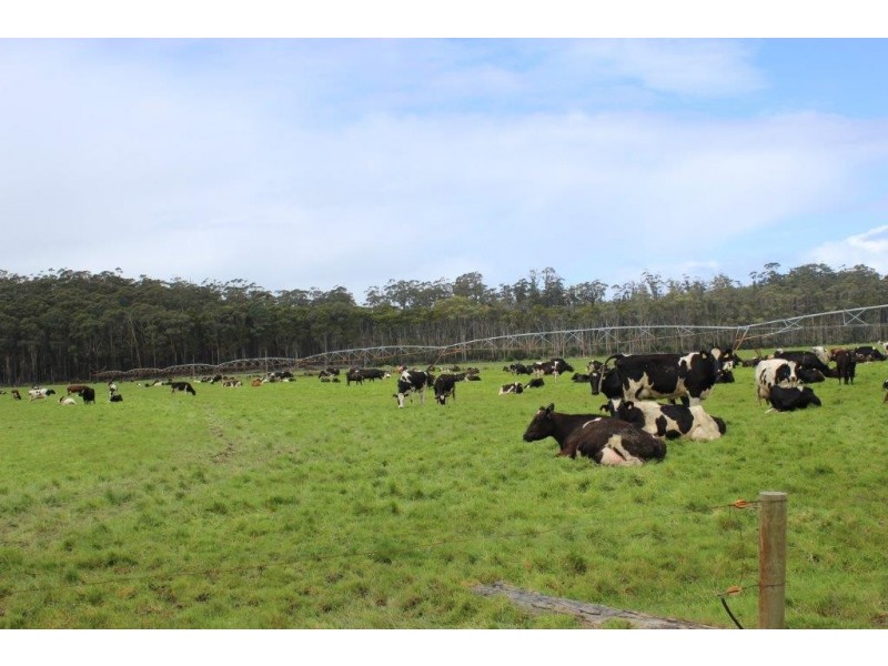 278 Blackwood Road, Togari TAS 7330