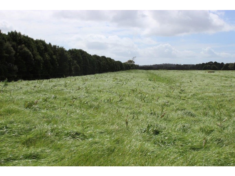 278 Blackwood Road, Togari TAS 7330