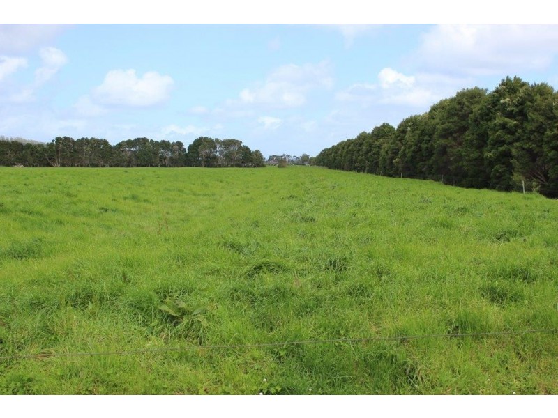 278 Blackwood Road, Togari TAS 7330