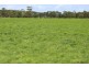 278 Blackwood Road, Togari TAS 7330