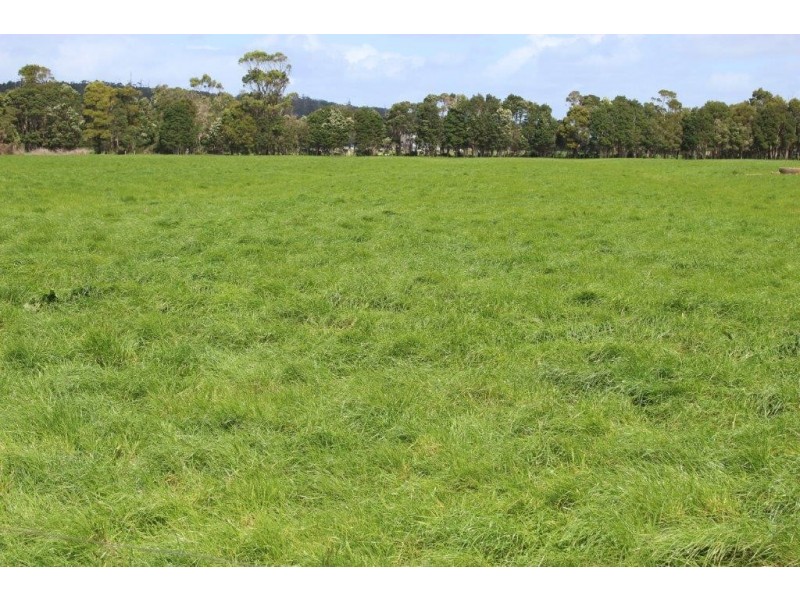 278 Blackwood Road, Togari TAS 7330