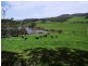 3 Saltwater River Road, Premaydena TAS 7185