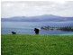 351 Saltwater River Road, Premaydena TAS 7185
