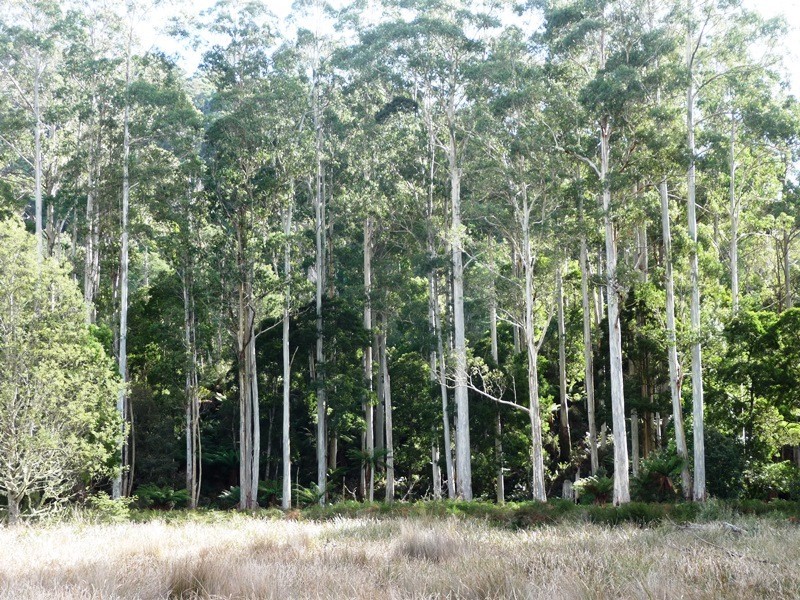 . Upper Esk Road, Upper Esk TAS 7214